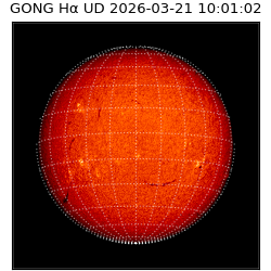 gong - 2026-03-21T10:01:02