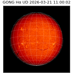 gong - 2026-03-21T11:00:02