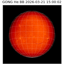 gong - 2026-03-21T15:00:02
