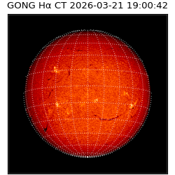 gong - 2026-03-21T19:00:42