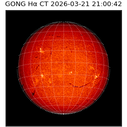 gong - 2026-03-21T21:00:42