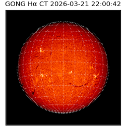 gong - 2026-03-21T22:00:42
