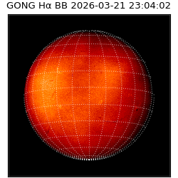 gong - 2026-03-21T23:04:02