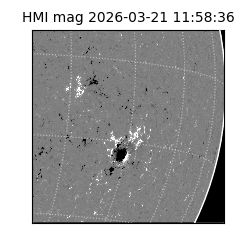 shmi - 2026-03-21T11:58:36.100000