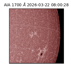 saia - 2026-03-22T08:00:28.449000