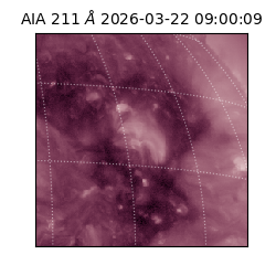 saia - 2026-03-22T09:00:09.623000