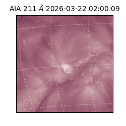 saia - 2026-03-22T02:00:09.623000