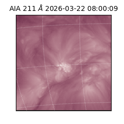 saia - 2026-03-22T08:00:09.621000