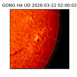 gong - 2026-03-22T02:00:02