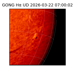 gong - 2026-03-22T07:00:02