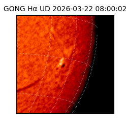 gong - 2026-03-22T08:00:02