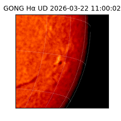 gong - 2026-03-22T11:00:02