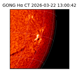 gong - 2026-03-22T13:00:42