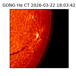 gong - 2026-03-22T18:03:42