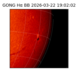gong - 2026-03-22T19:02:02