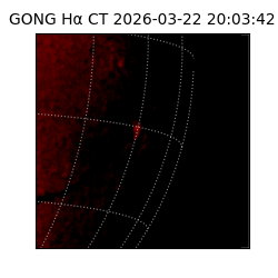 gong - 2026-03-22T20:03:42