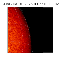 gong - 2026-03-22T03:00:02