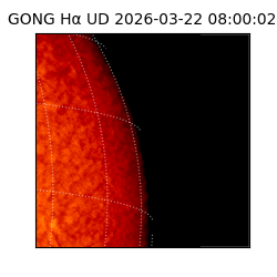 gong - 2026-03-22T08:00:02