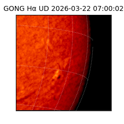 gong - 2026-03-22T07:00:02