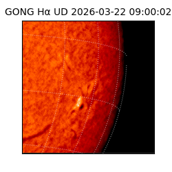 gong - 2026-03-22T09:00:02