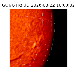gong - 2026-03-22T10:00:02