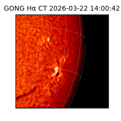 gong - 2026-03-22T14:00:42