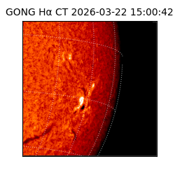gong - 2026-03-22T15:00:42