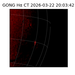 gong - 2026-03-22T20:03:42