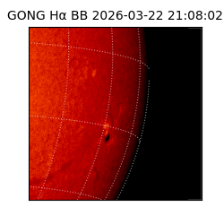 gong - 2026-03-22T21:08:02
