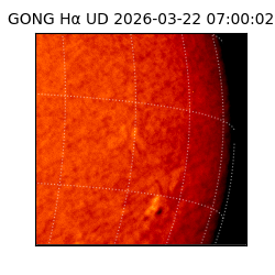 gong - 2026-03-22T07:00:02