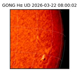 gong - 2026-03-22T08:00:02
