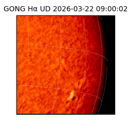 gong - 2026-03-22T09:00:02