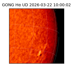 gong - 2026-03-22T10:00:02