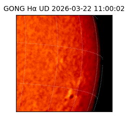 gong - 2026-03-22T11:00:02