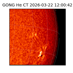 gong - 2026-03-22T12:00:42