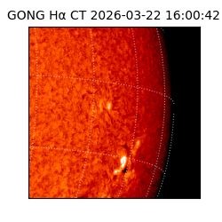 gong - 2026-03-22T16:00:42