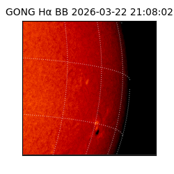 gong - 2026-03-22T21:08:02