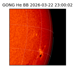 gong - 2026-03-22T23:00:02