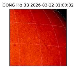 gong - 2026-03-22T01:00:02