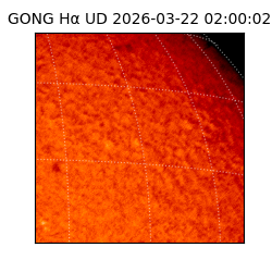 gong - 2026-03-22T02:00:02