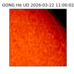 gong - 2026-03-22T11:00:02