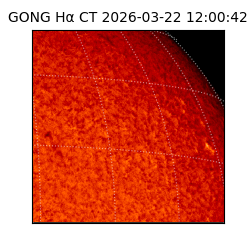 gong - 2026-03-22T12:00:42