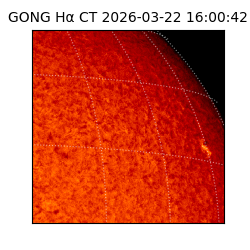gong - 2026-03-22T16:00:42