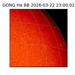 gong - 2026-03-22T23:00:02