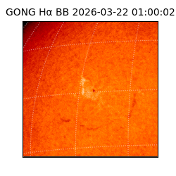 gong - 2026-03-22T01:00:02