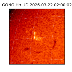 gong - 2026-03-22T02:00:02