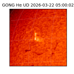 gong - 2026-03-22T05:00:02