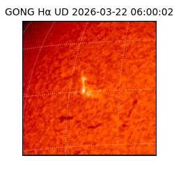 gong - 2026-03-22T06:00:02