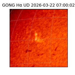 gong - 2026-03-22T07:00:02