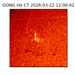 gong - 2026-03-22T12:00:42